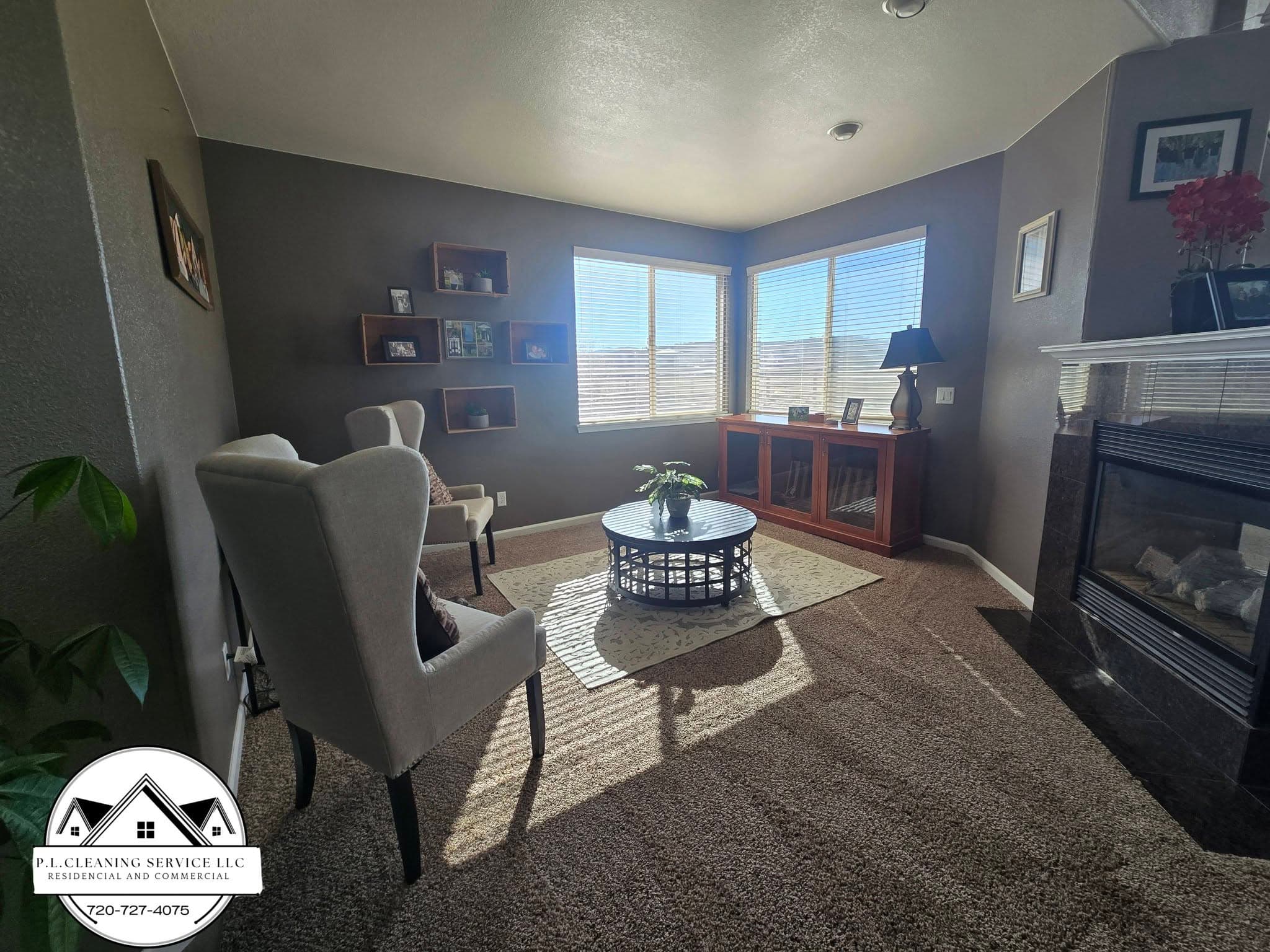 Living room with fireplace and modern furniture