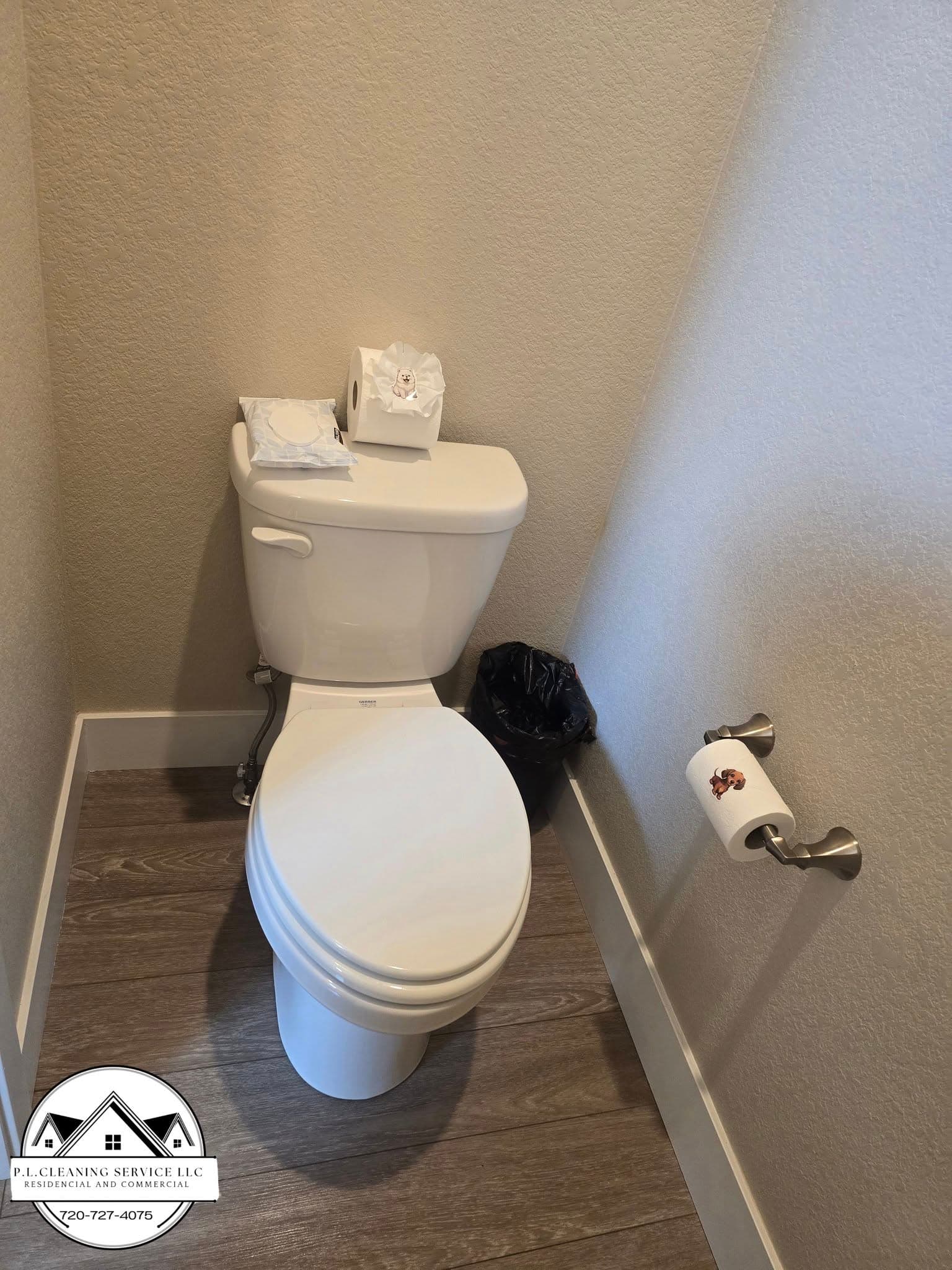 Newly installed toilet with wood-look flooring